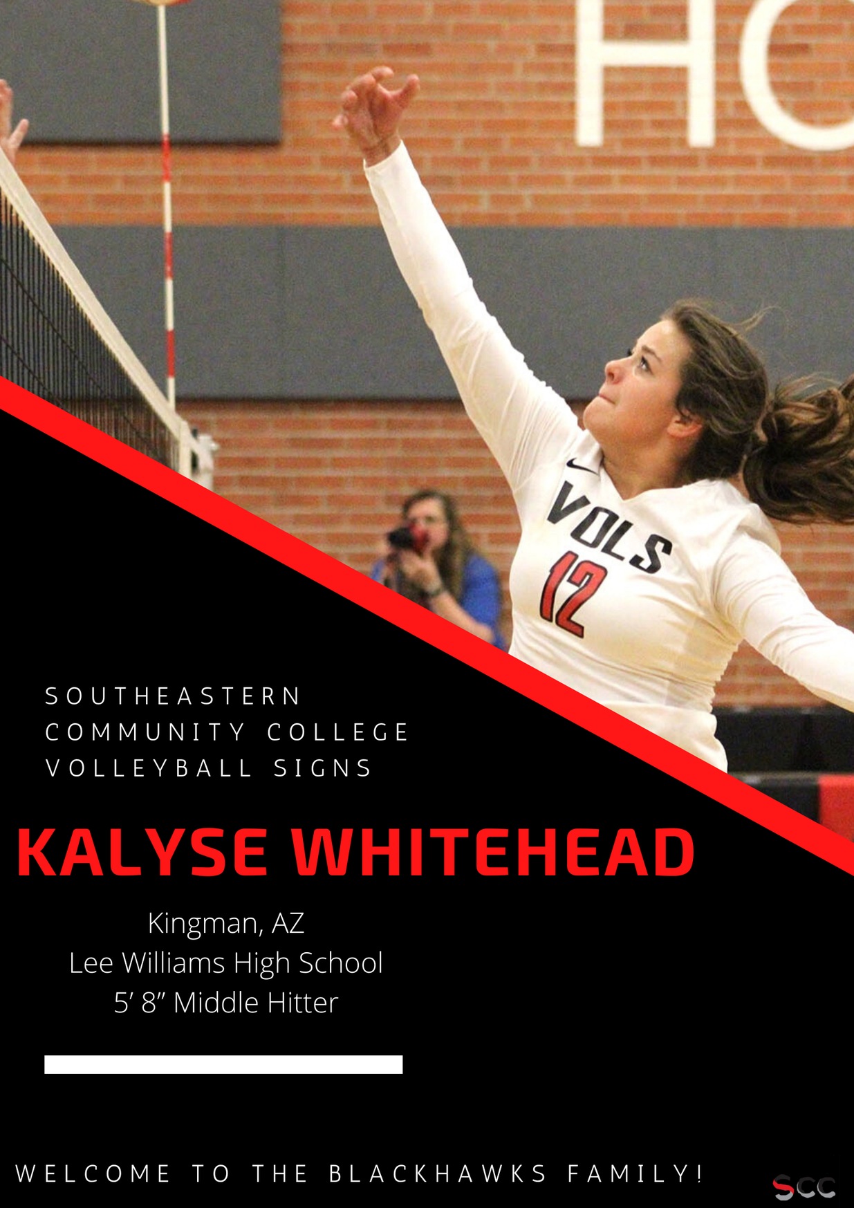 Volleyball Inks Another Player to Roster